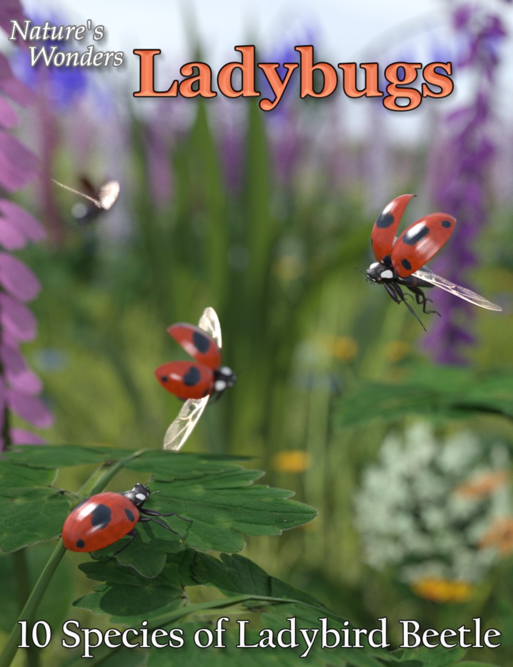 Nature's Wonders Ladybugs by N/A