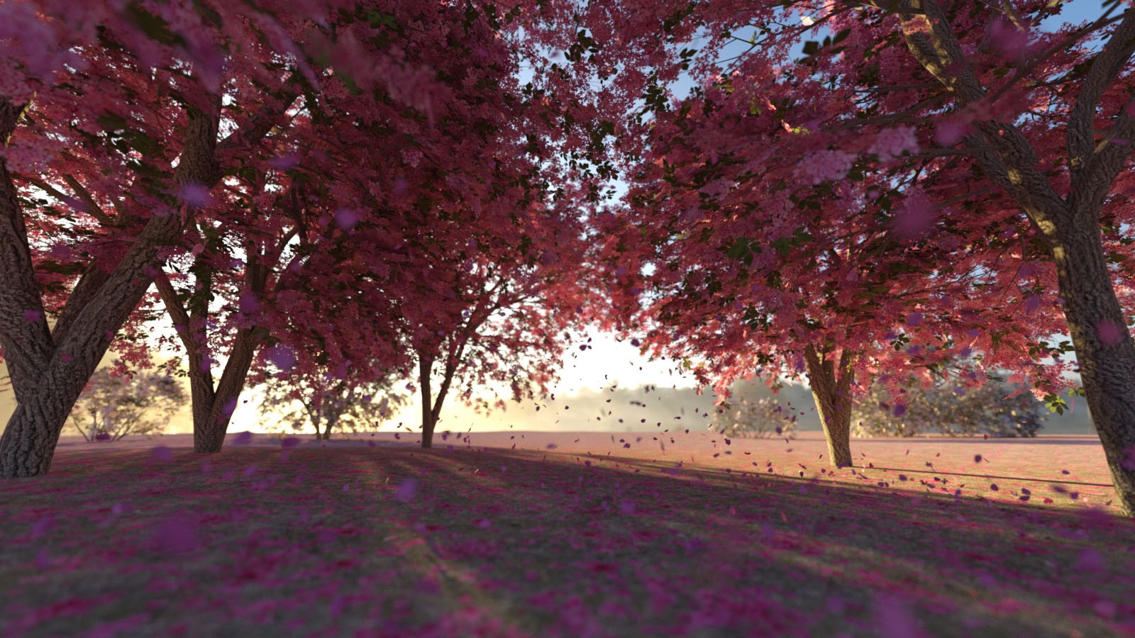Photo Plants: Cherry Blossom by N/A