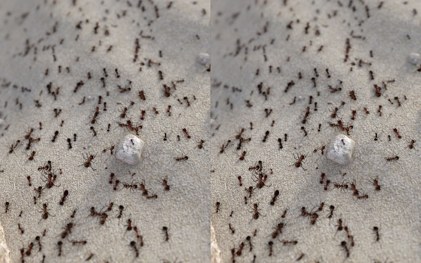 Photo Props: Bug Dropper by N/A