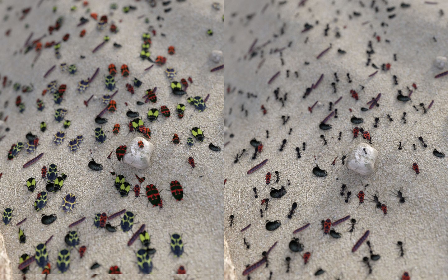Photo Props: Bug Dropper by N/A