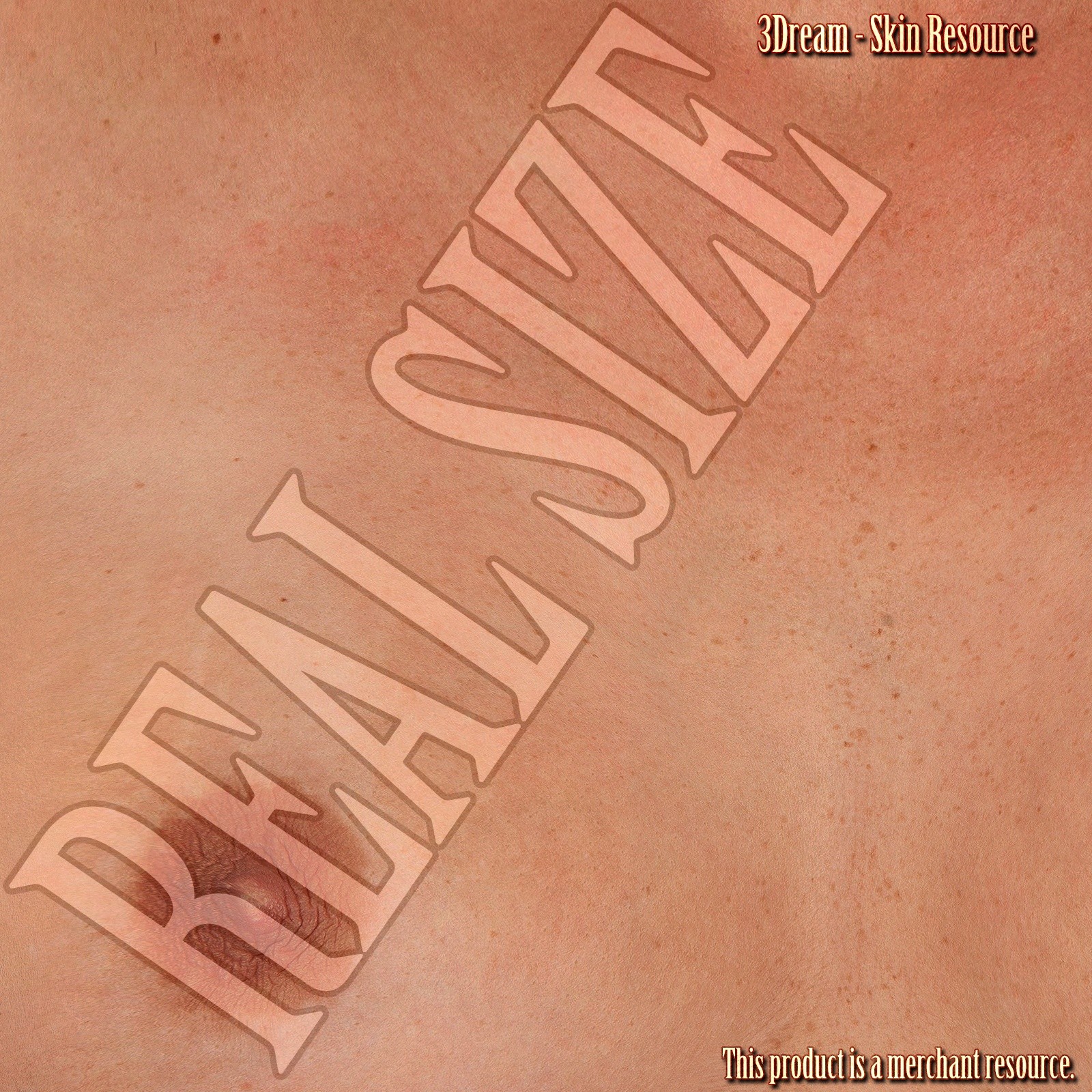 3Dream - Skin Resource II by N/A