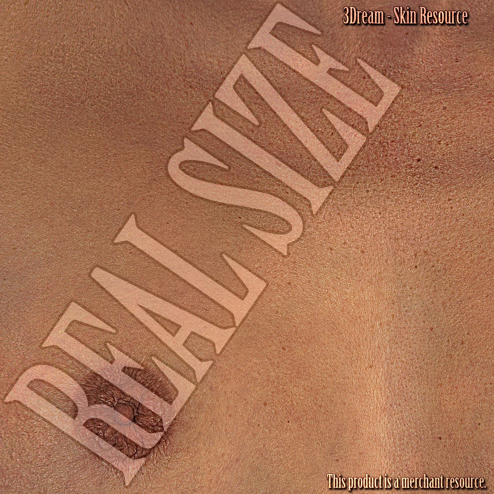 3Dream - Skin Resource III by N/A