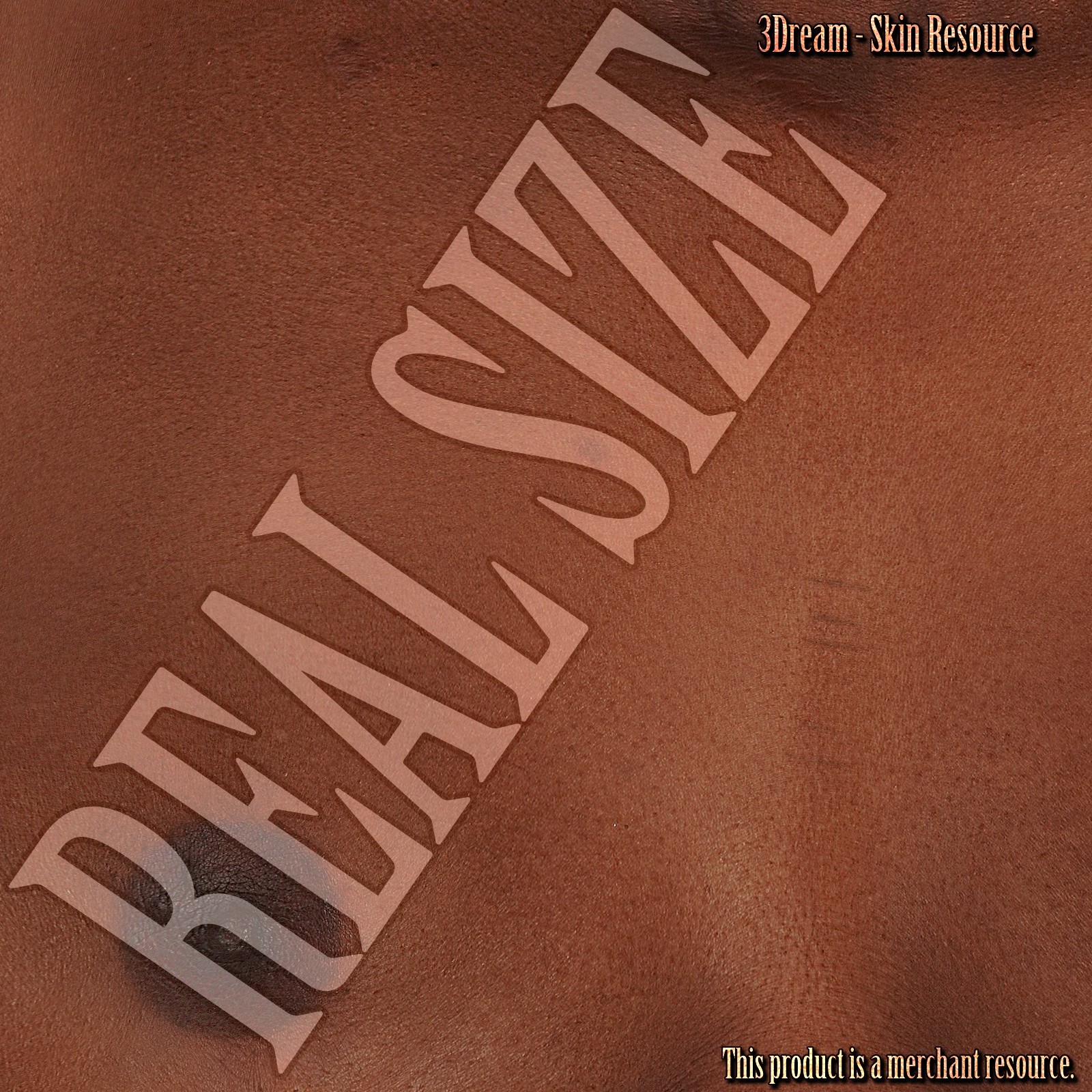 3Dream - Skin Resource IV by N/A