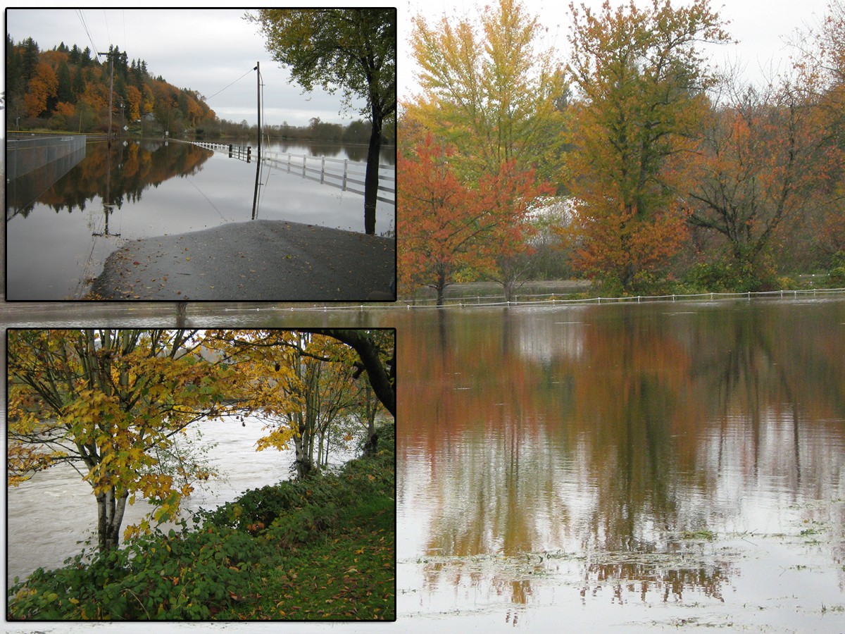 Floods by N/A