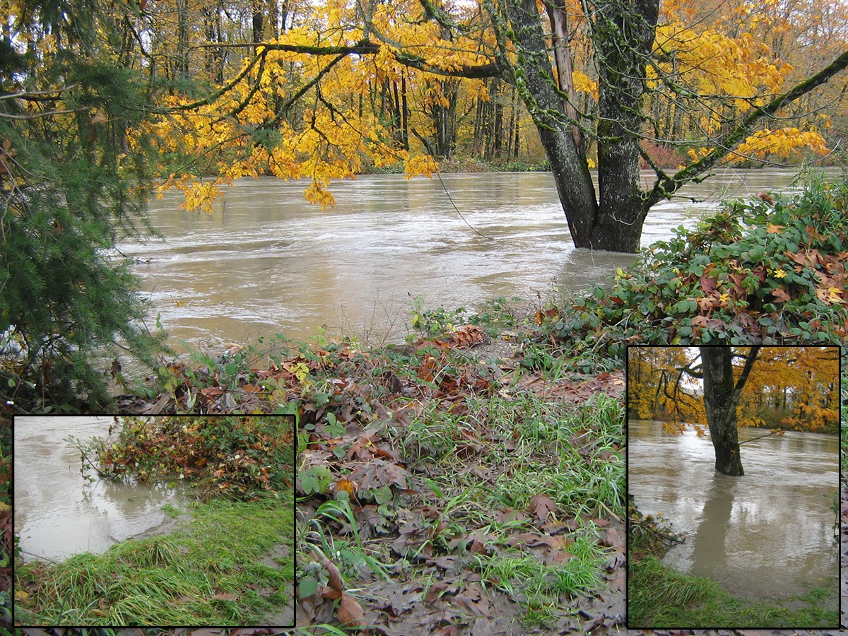Floods by N/A