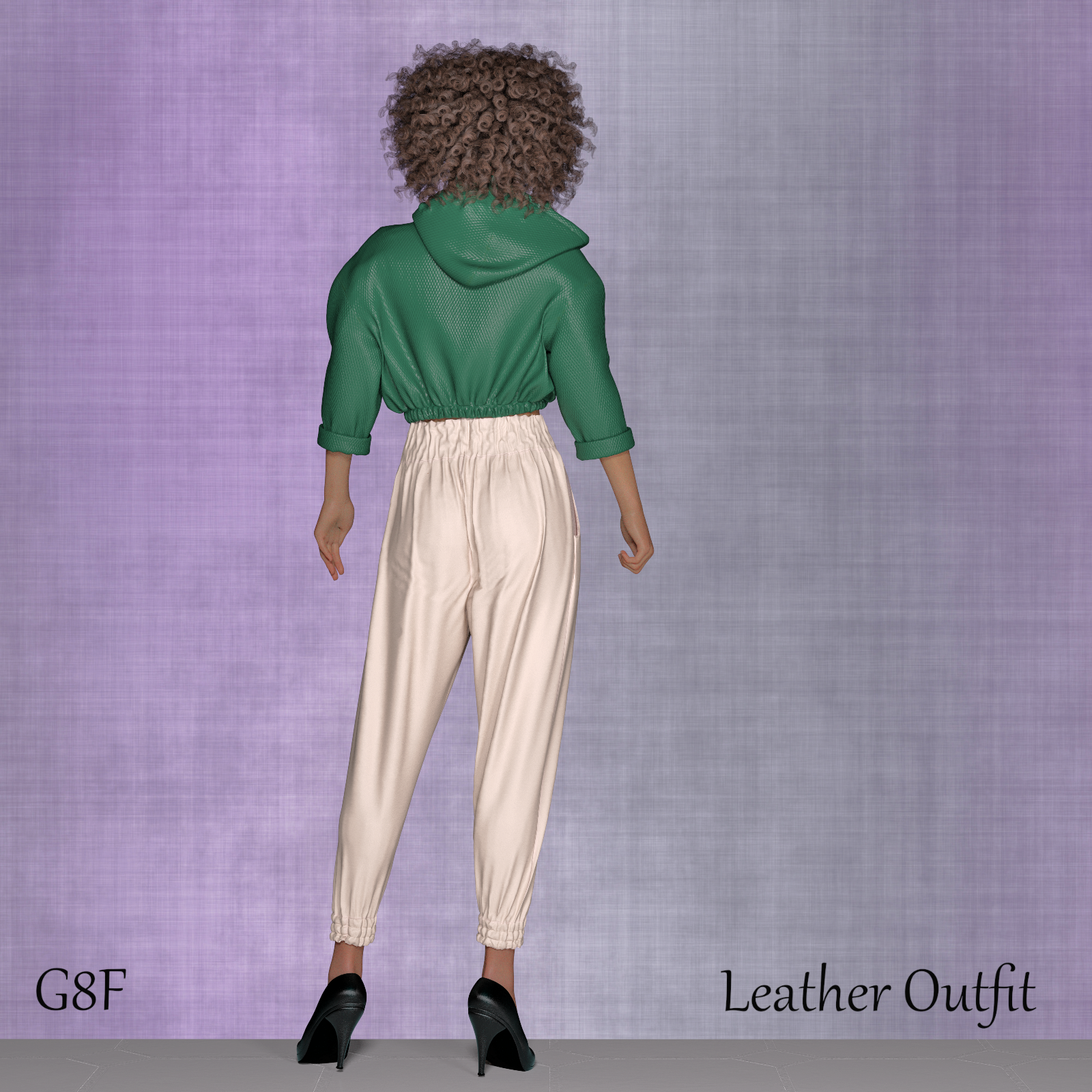 Leather Outfit for Genesis 8 and 8.1 Females by N/A