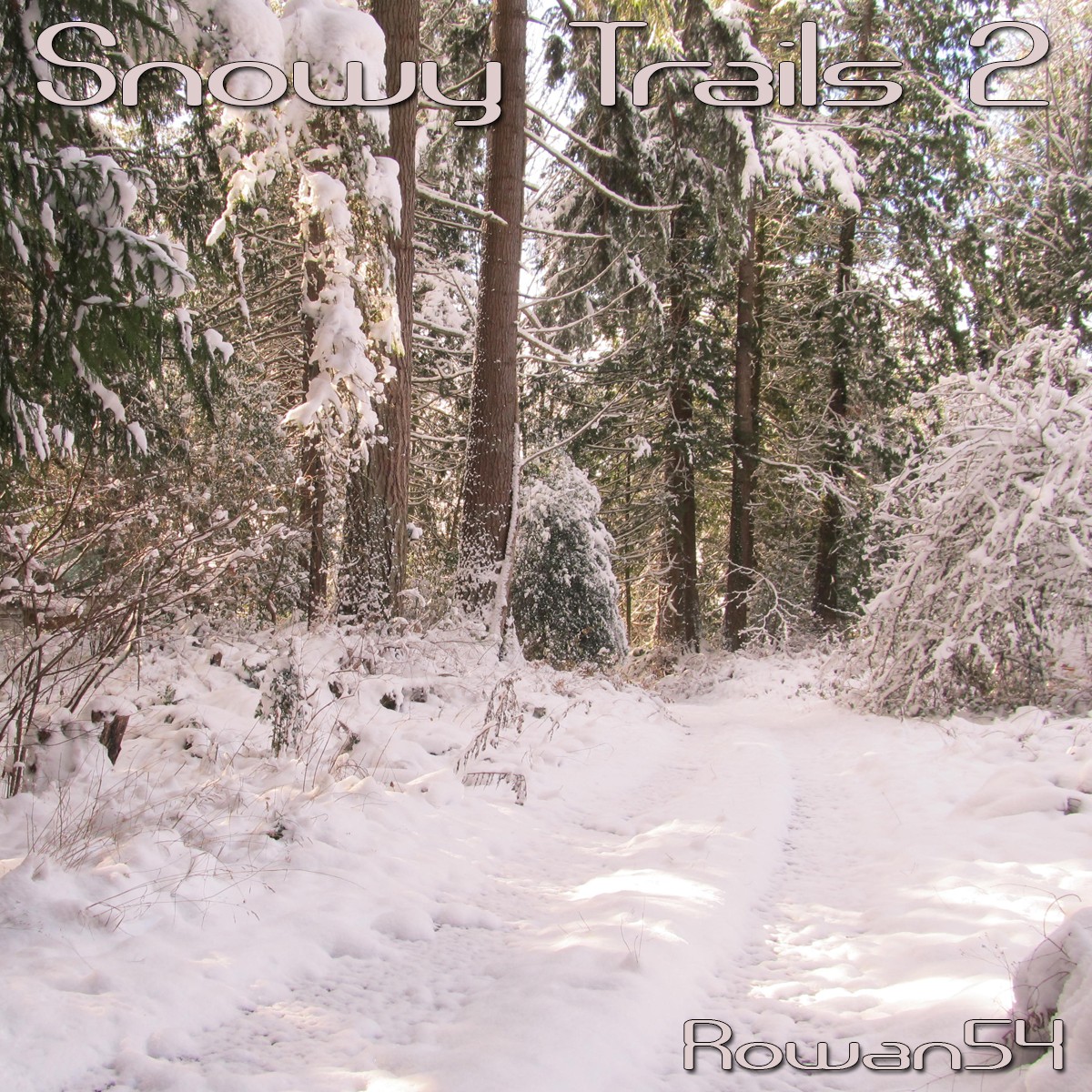 Snowy Trail 2 by N/A