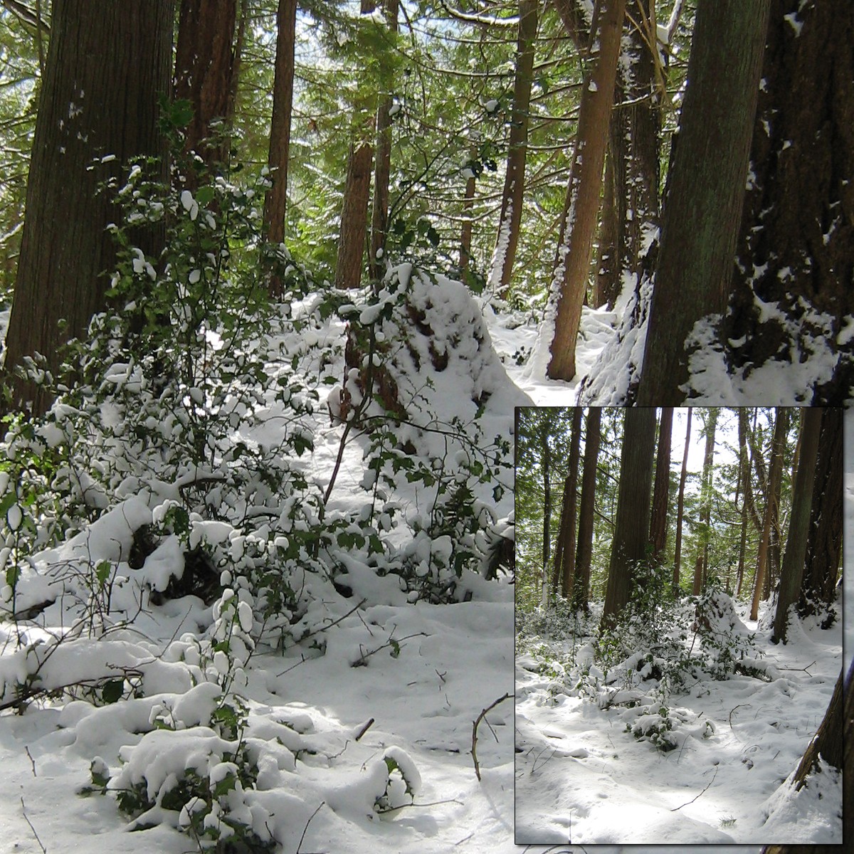 Sun on Snow 2 by N/A