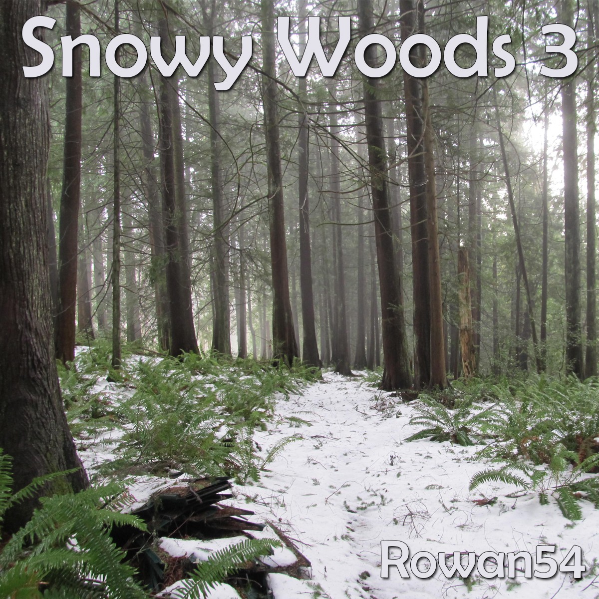 Snowy Woods 3 by N/A