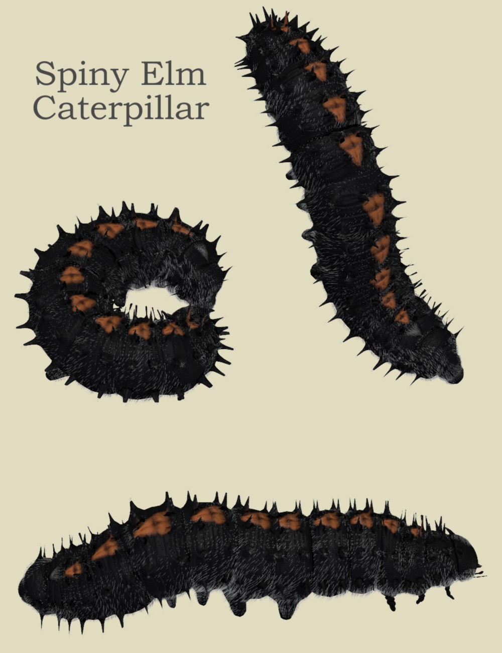 Nature's Wonders Caterpillars of the World Vol. 1 by N/A