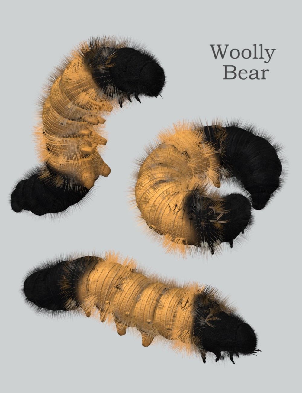 Nature's Wonders Caterpillars of the World Vol. 1 by N/A