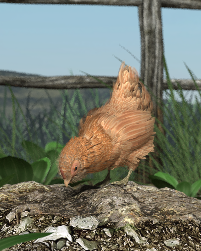 Easter Peeper by N/A