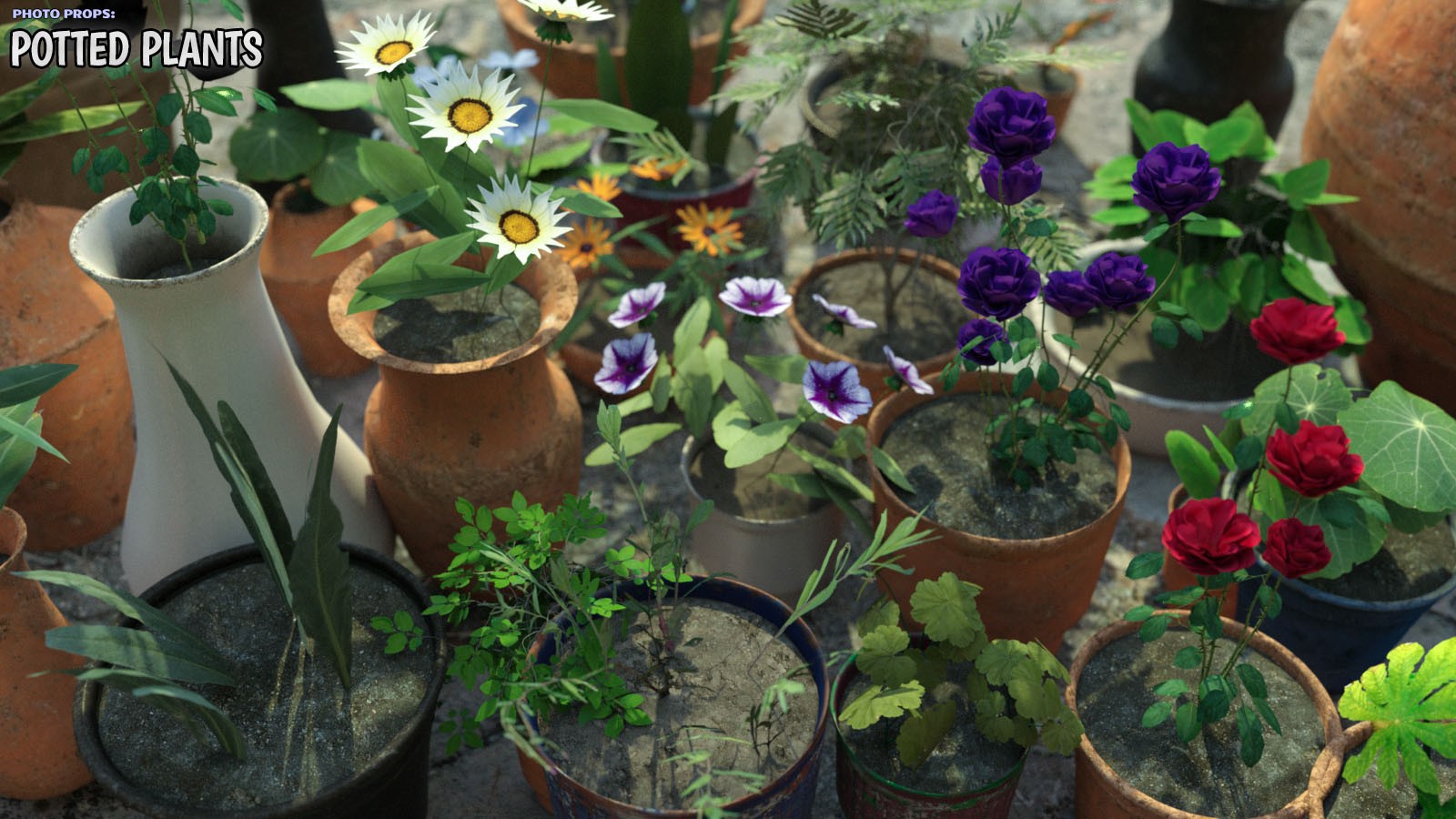 Photo Props: Potted Plants by N/A