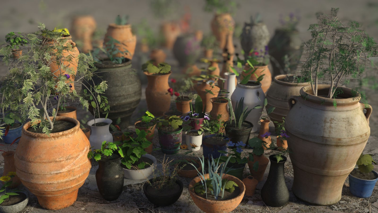 Photo Props: Potted Plants by N/A