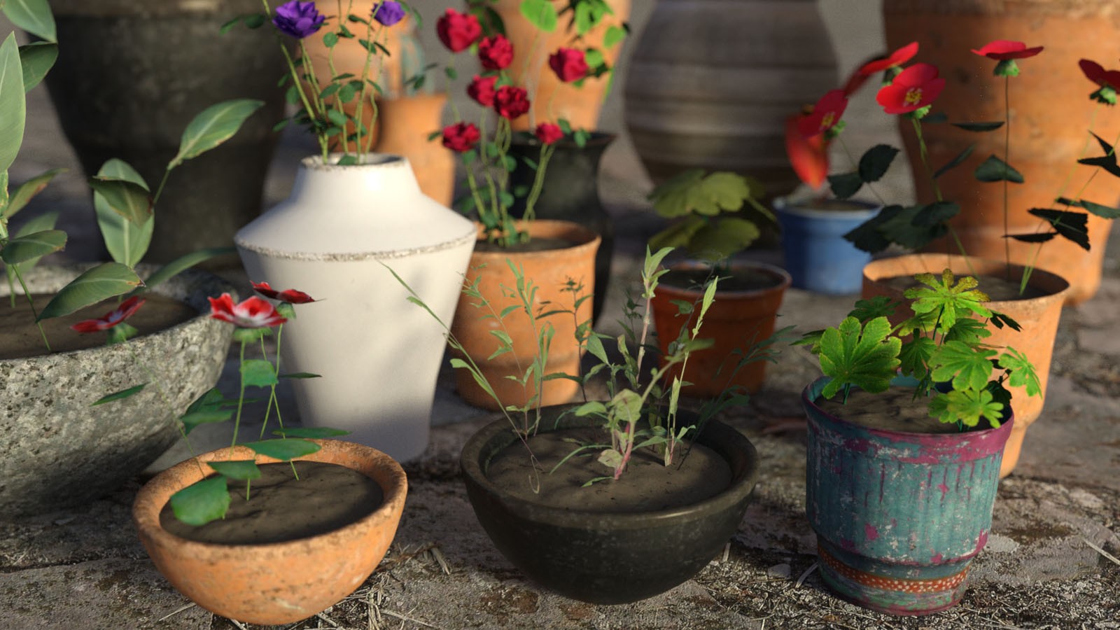 Photo Props: Potted Plants by N/A