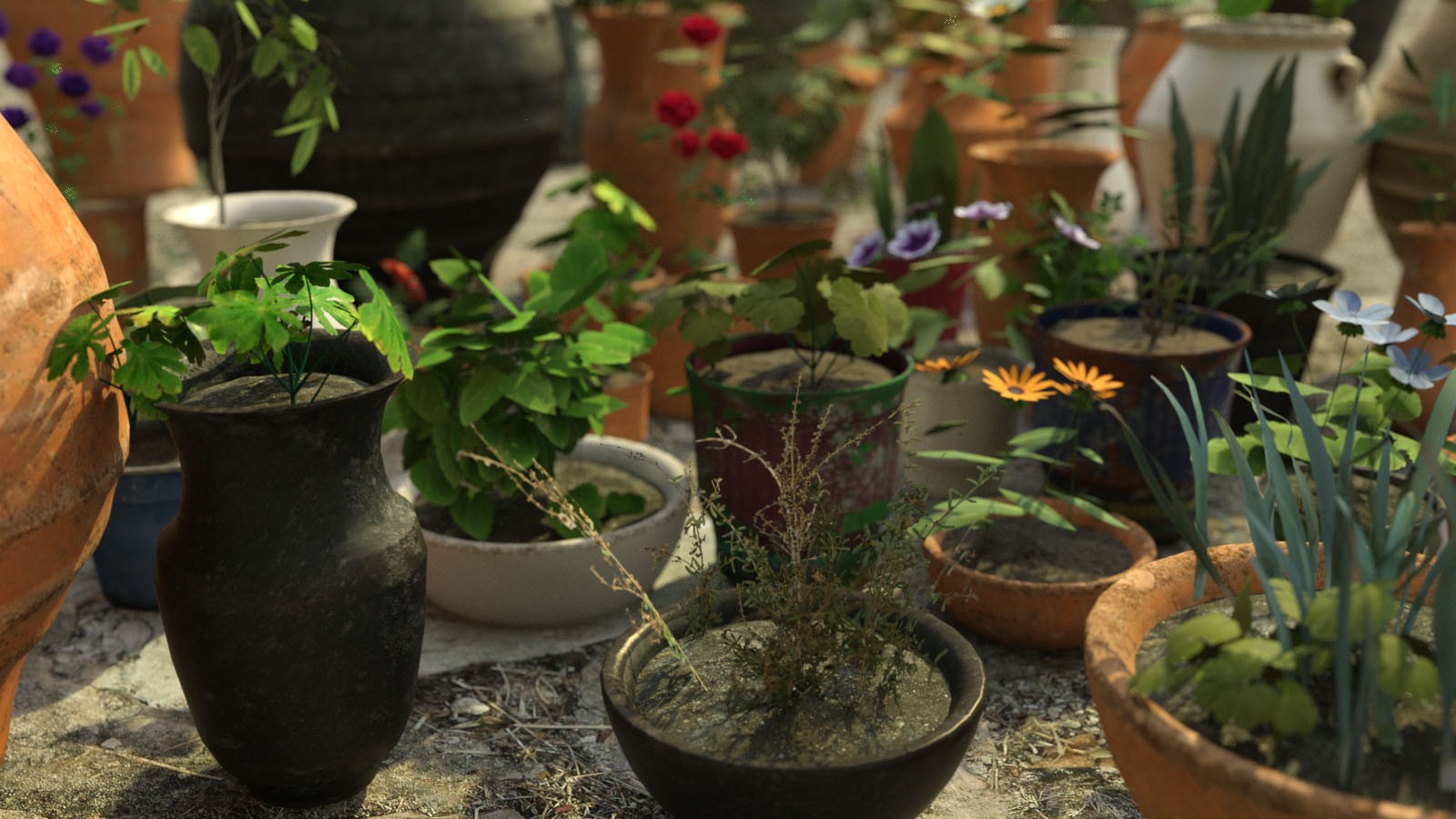Photo Props: Potted Plants by N/A