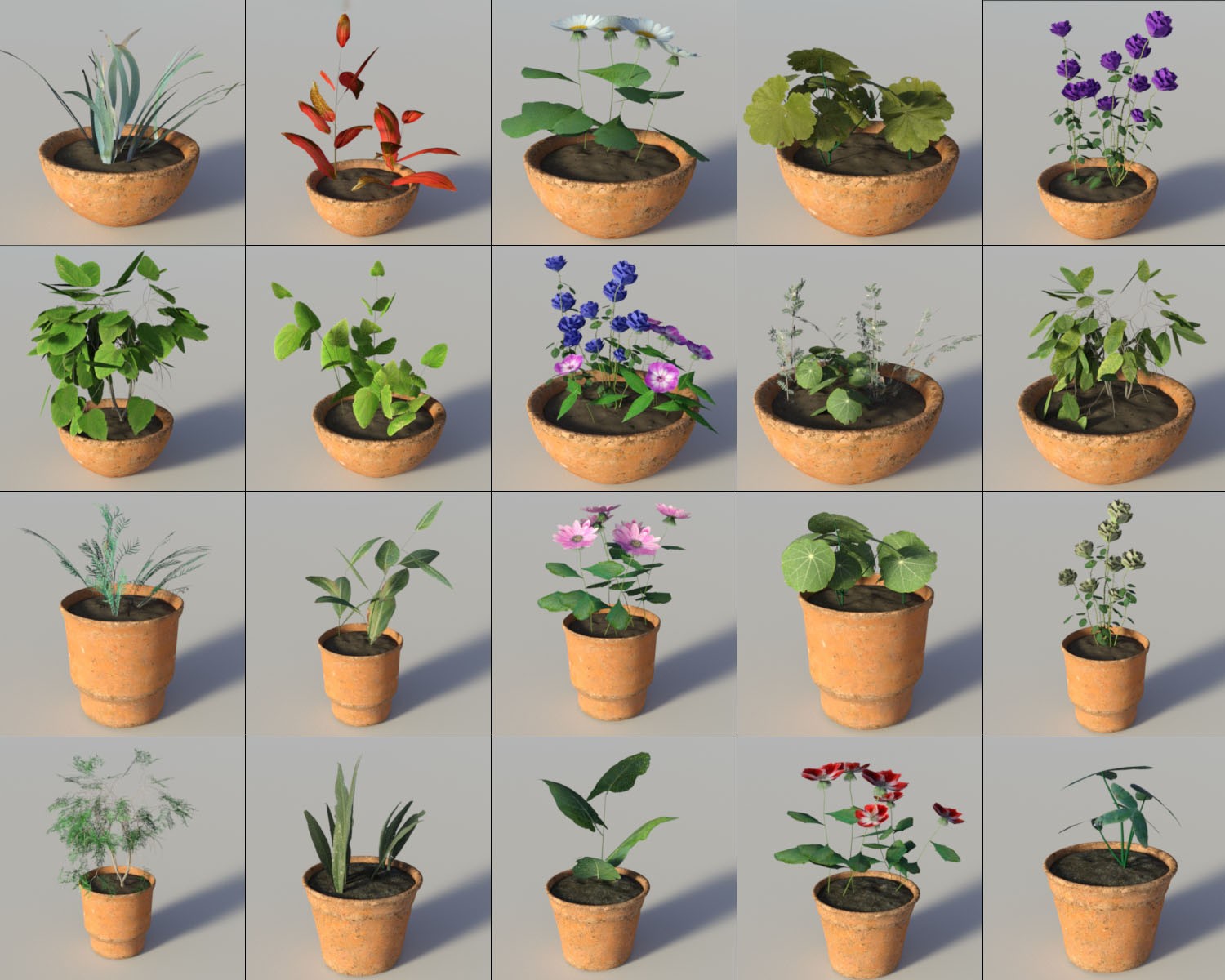 Photo Props: Potted Plants by N/A