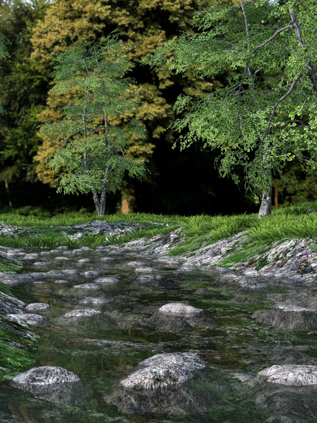 The Beautiful Stream by N/A