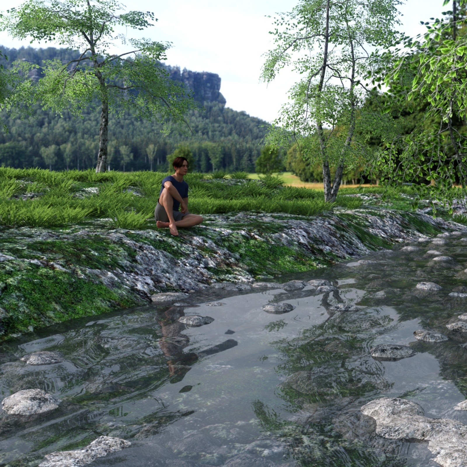 The Beautiful Stream by N/A