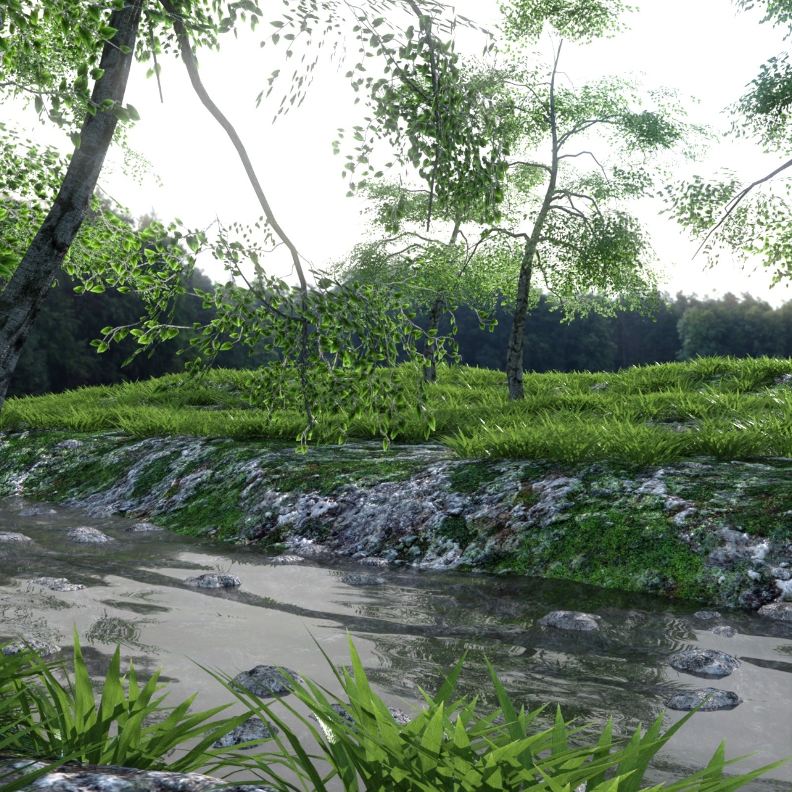 The Beautiful Stream by N/A