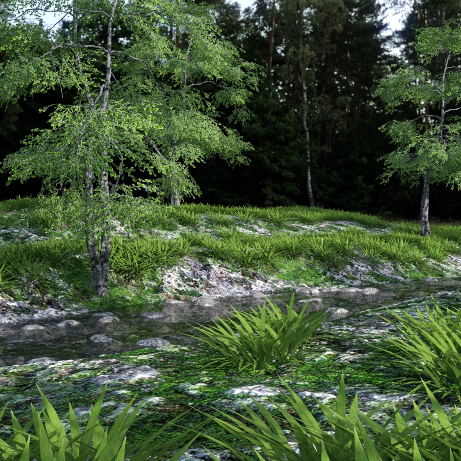 The Beautiful Stream by N/A