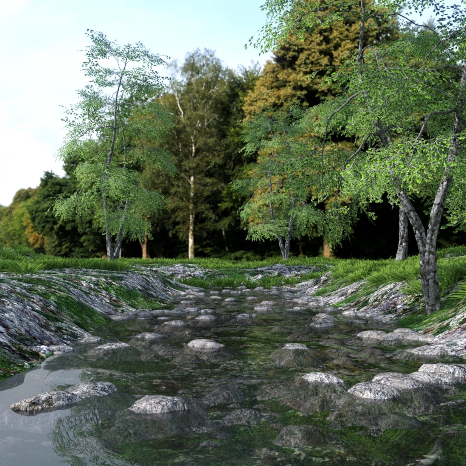 The Beautiful Stream by N/A