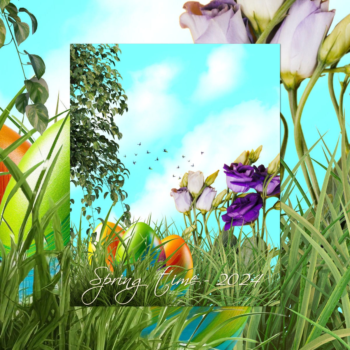 DA-SpringTime 2024 by N/A