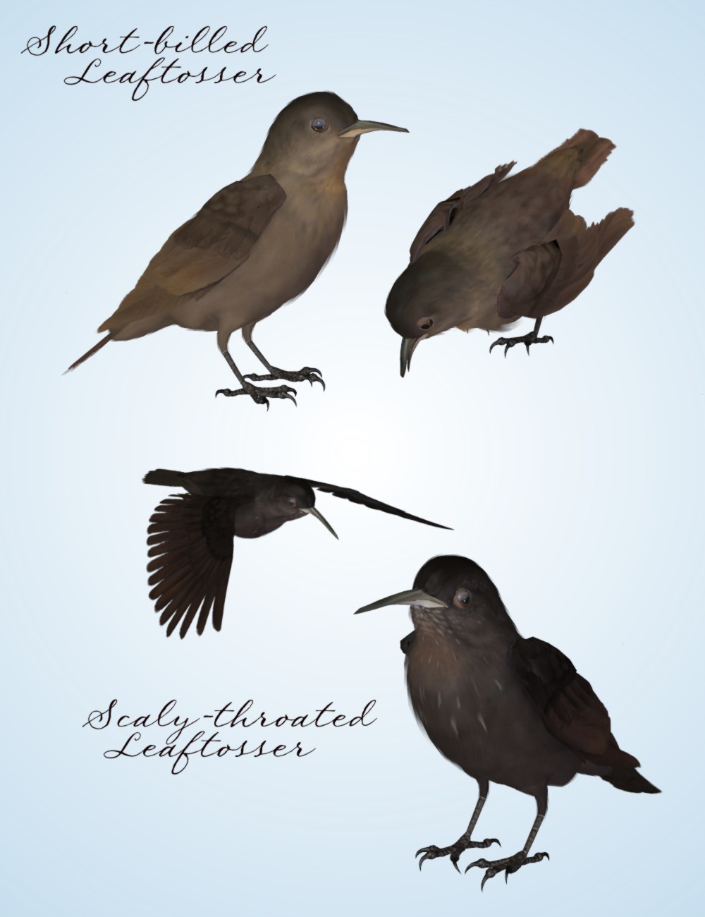 Songbird ReMix Flowerpiercers & Leaftossers by N/A