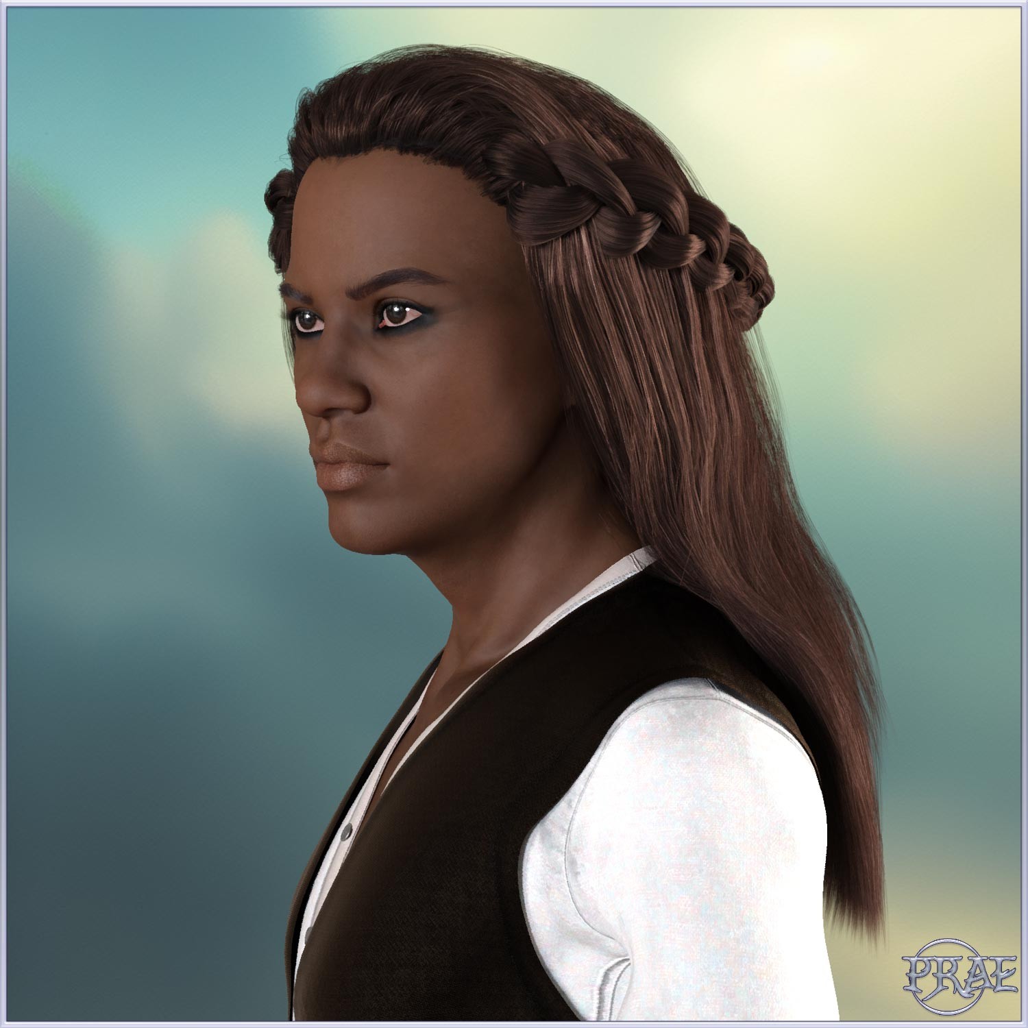 Prae-Nadine Hair For G8/G9 Daz by N/A