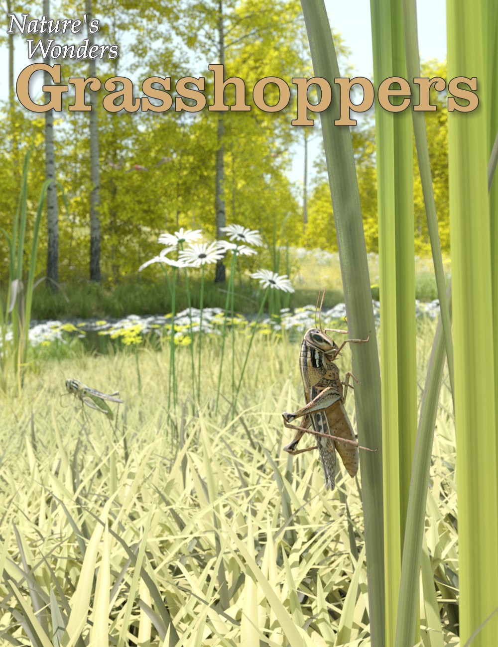 Nature's Wonders Grasshoppers by N/A