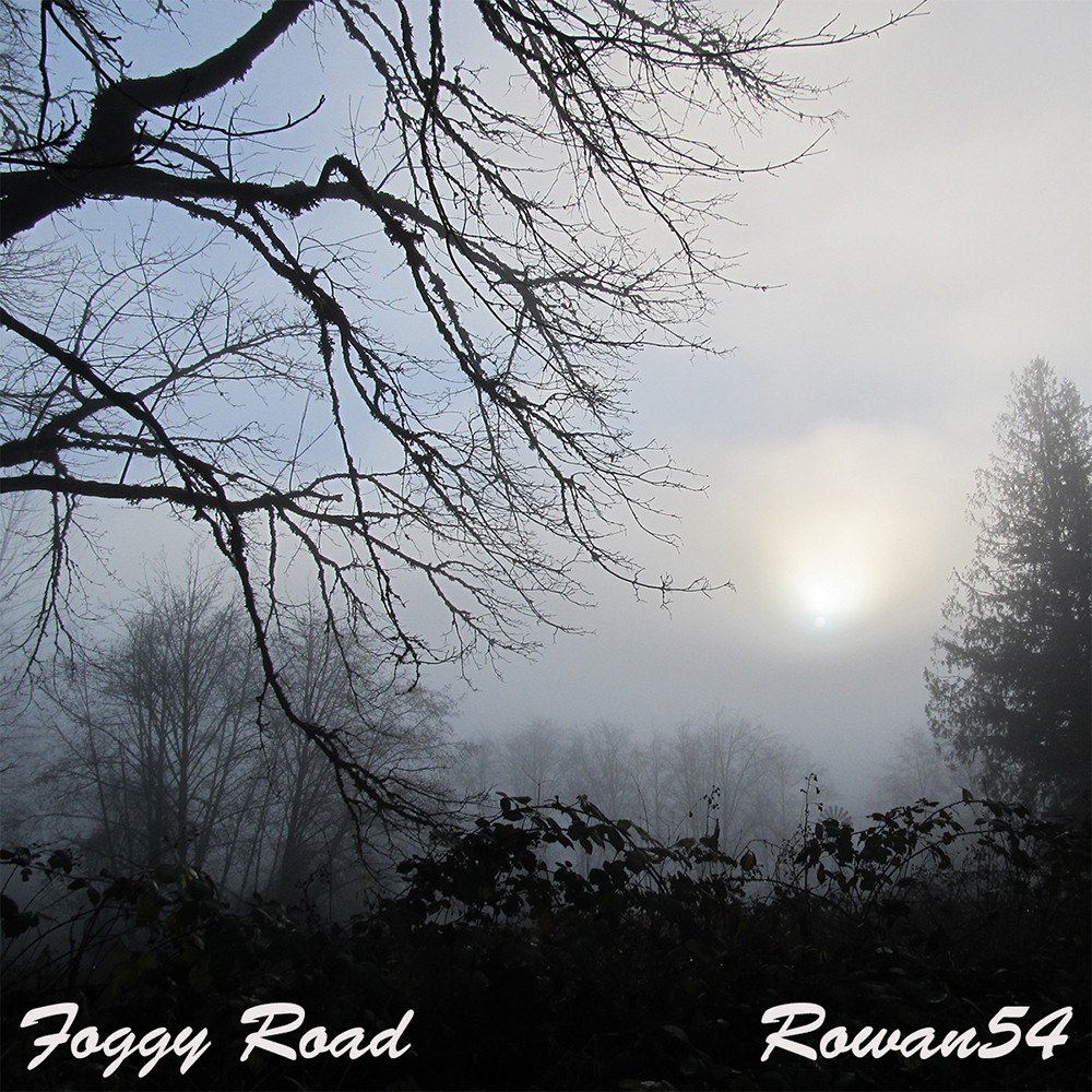 Foggy Road by N/A