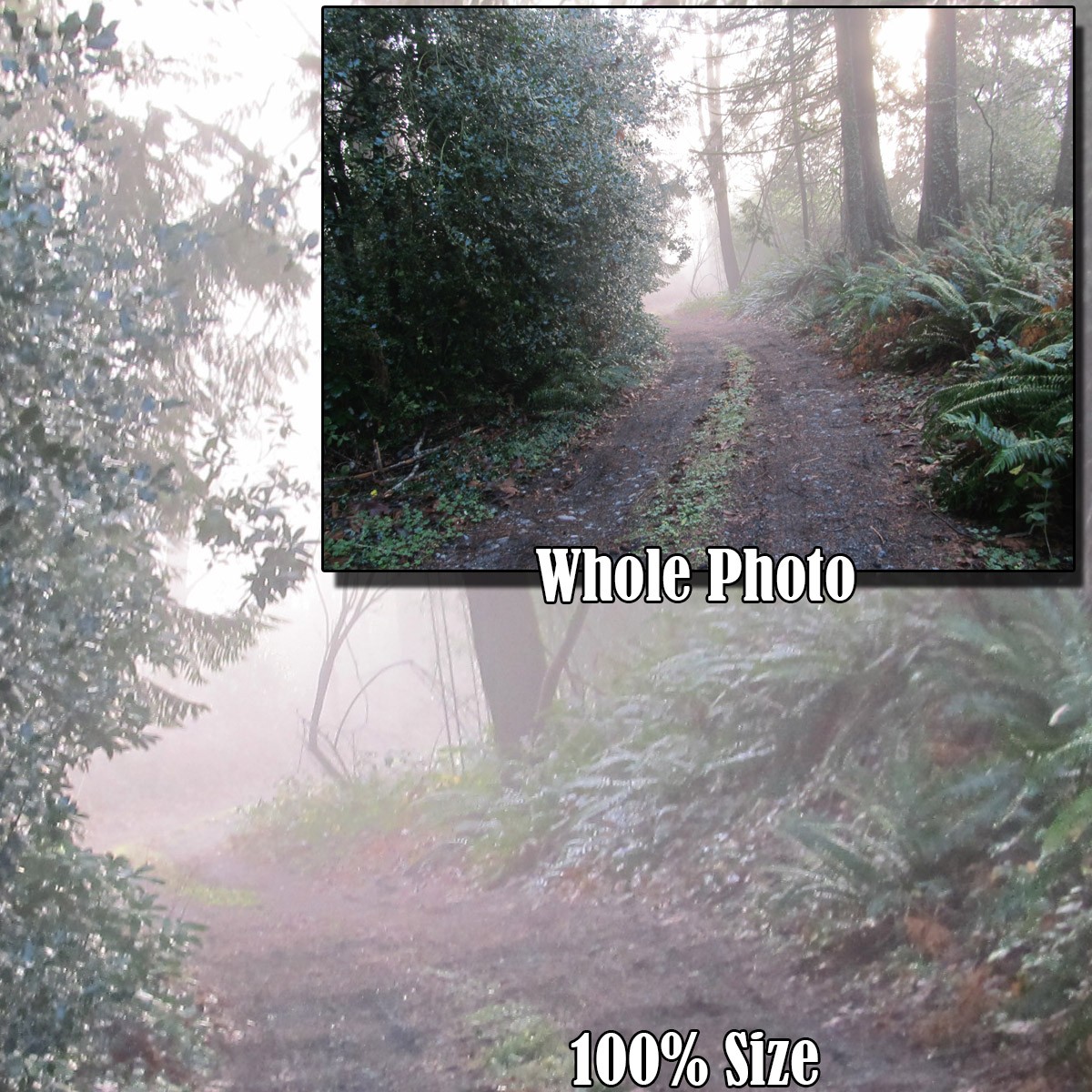 Foggy Road by N/A