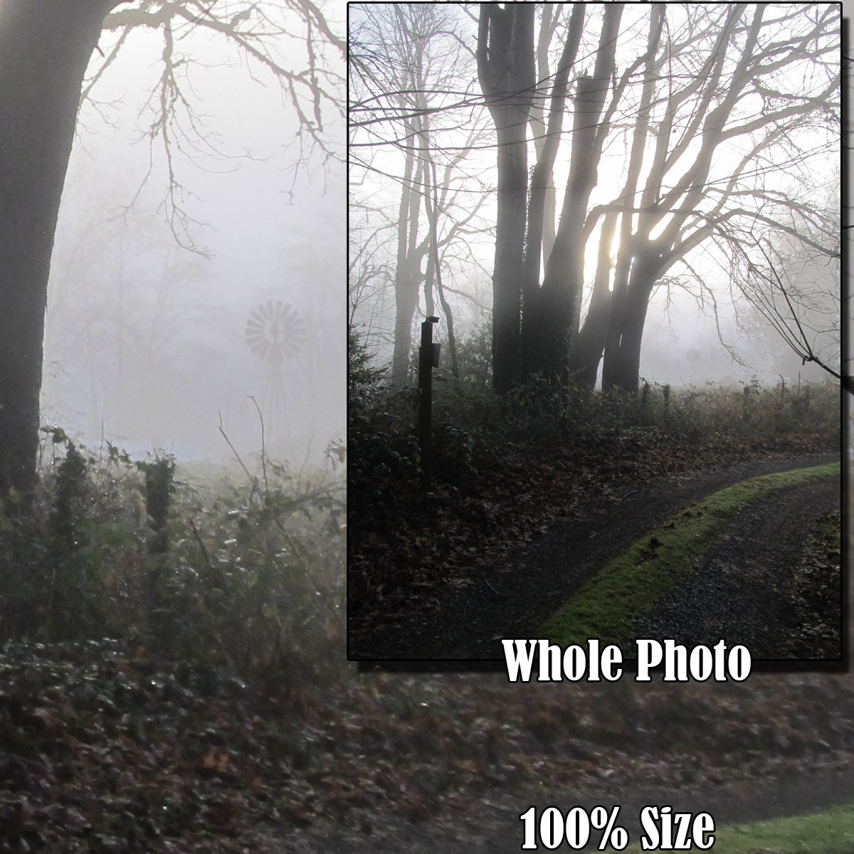 Foggy Road by N/A