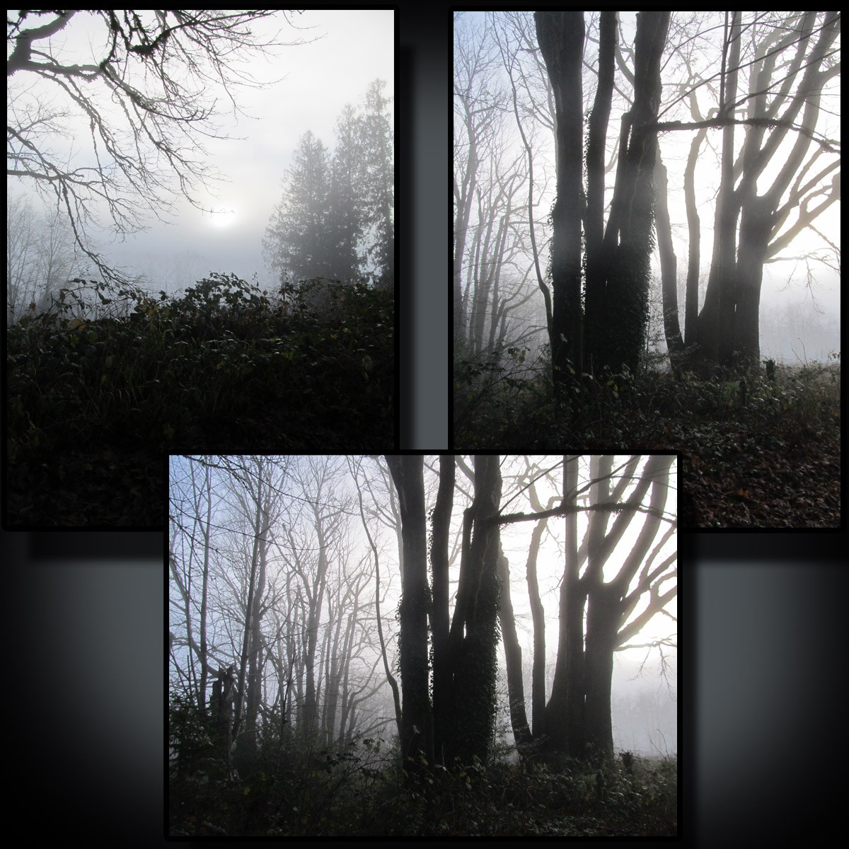 Foggy Road by N/A