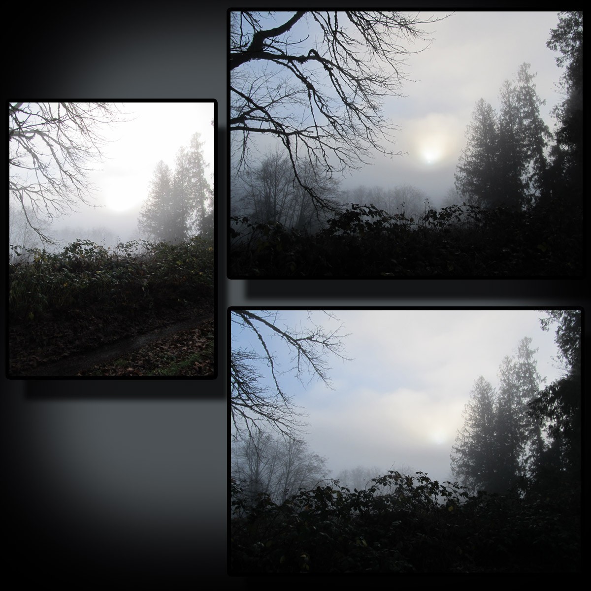 Foggy Road by N/A