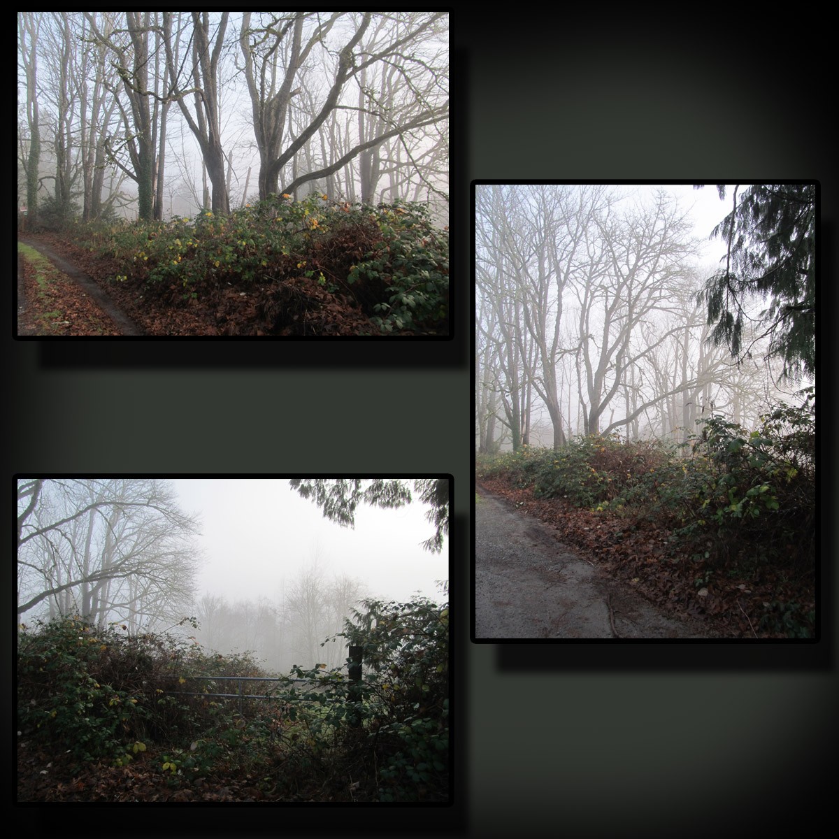 Foggy Road by N/A