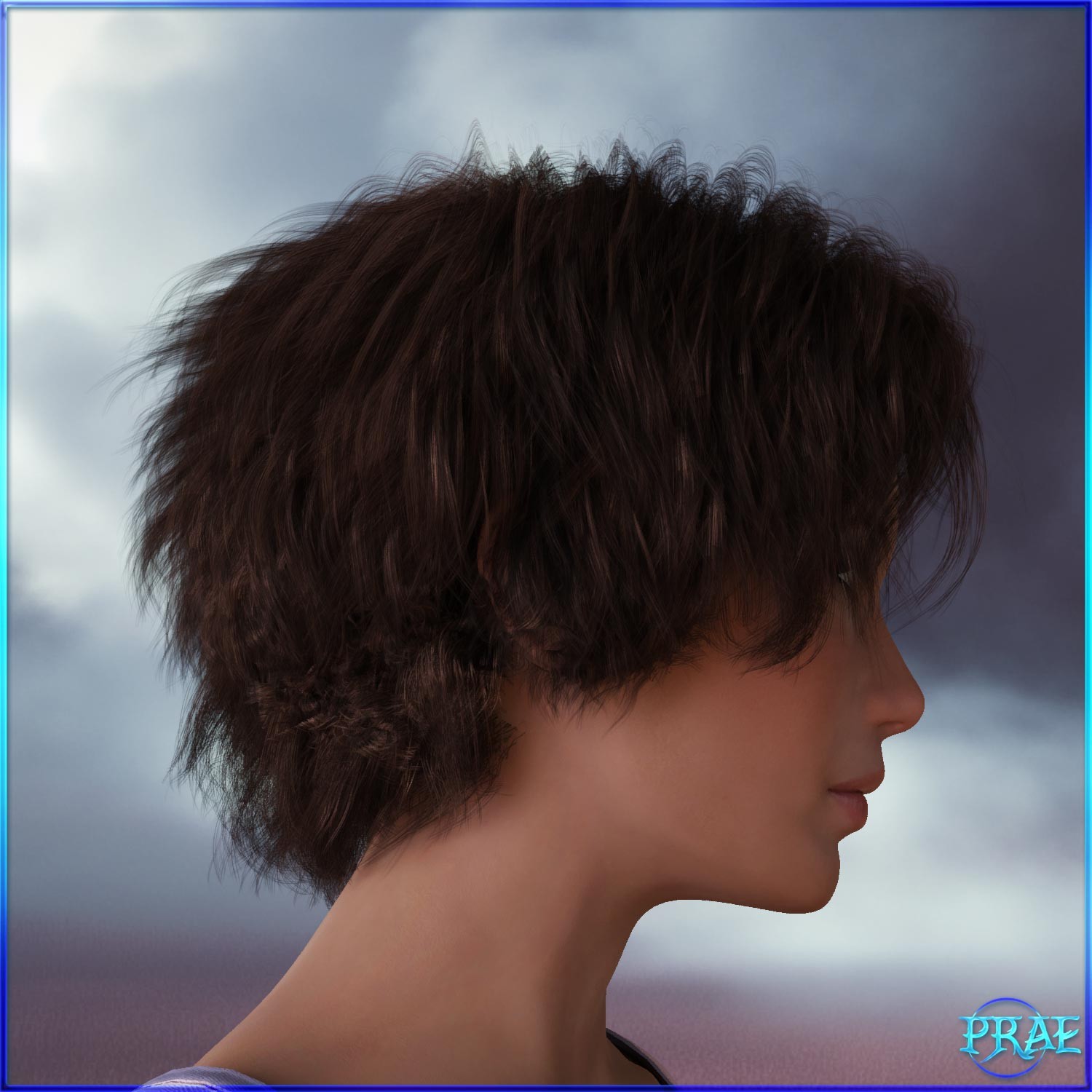 Prae-Darica Hair For Dawn 2 Daz by N/A