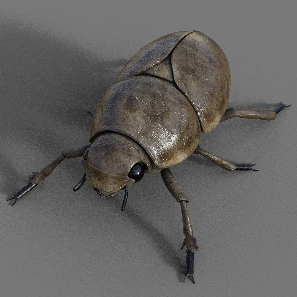 Vermin Pack for Daz Studio by N/A
