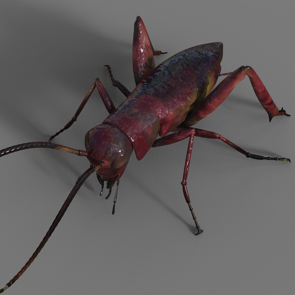 Vermin Pack for Daz Studio by N/A