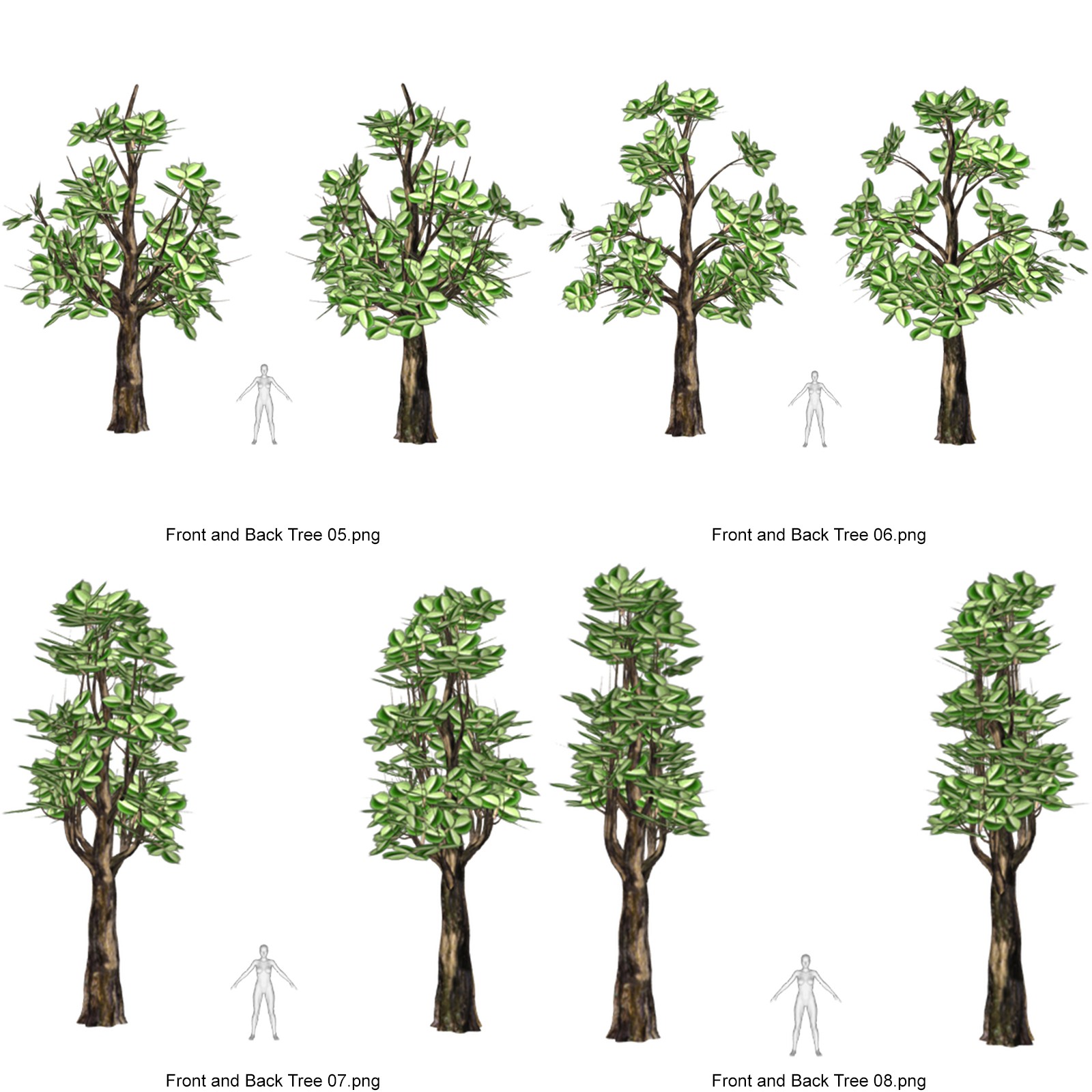 Toon Trees for DAZ by N/A