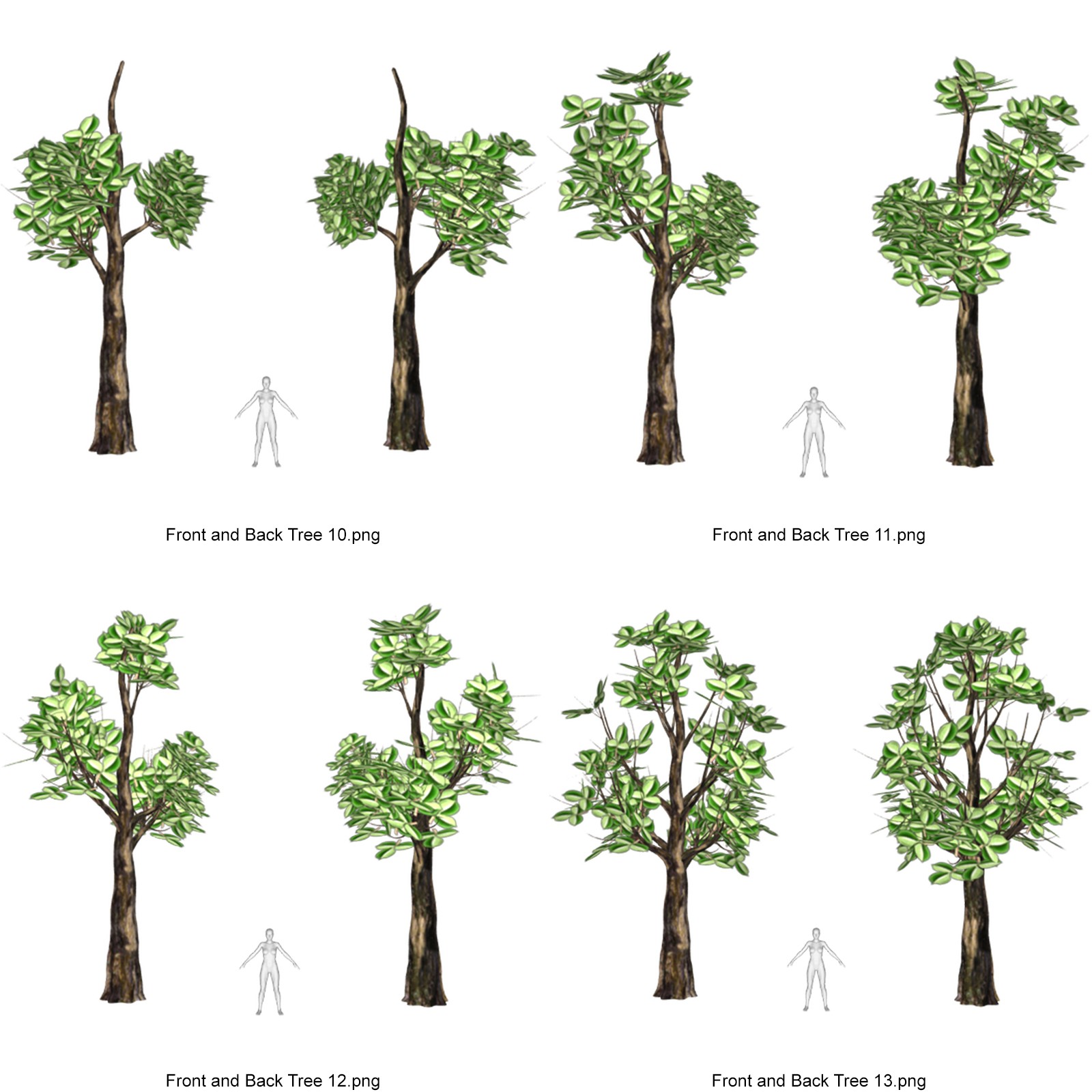 Toon Trees for DAZ by N/A