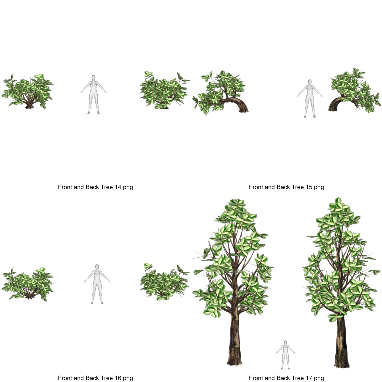 Toon Trees for DAZ by N/A