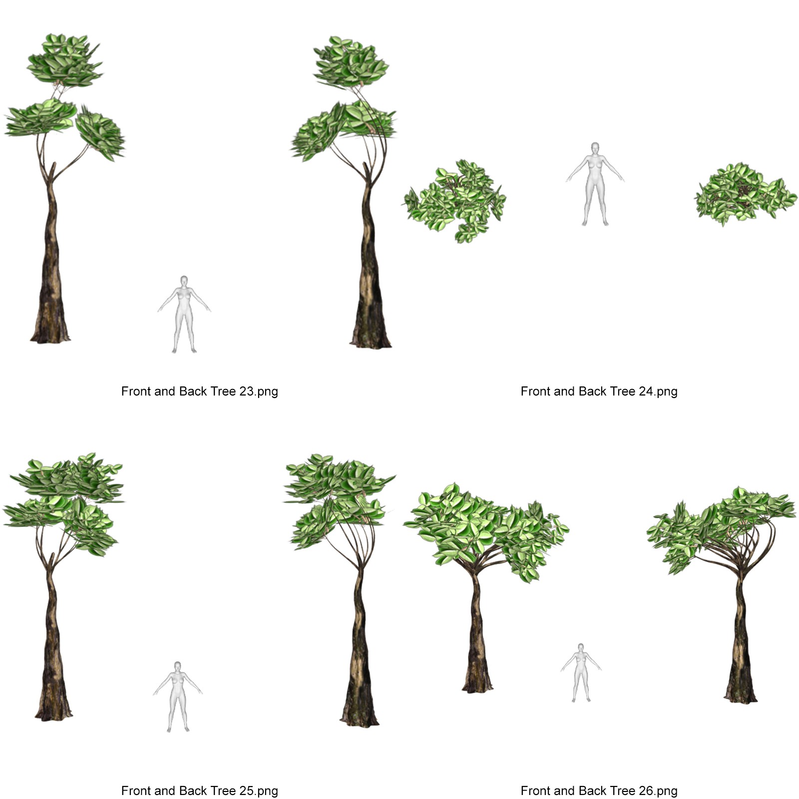 Toon Trees for DAZ by N/A