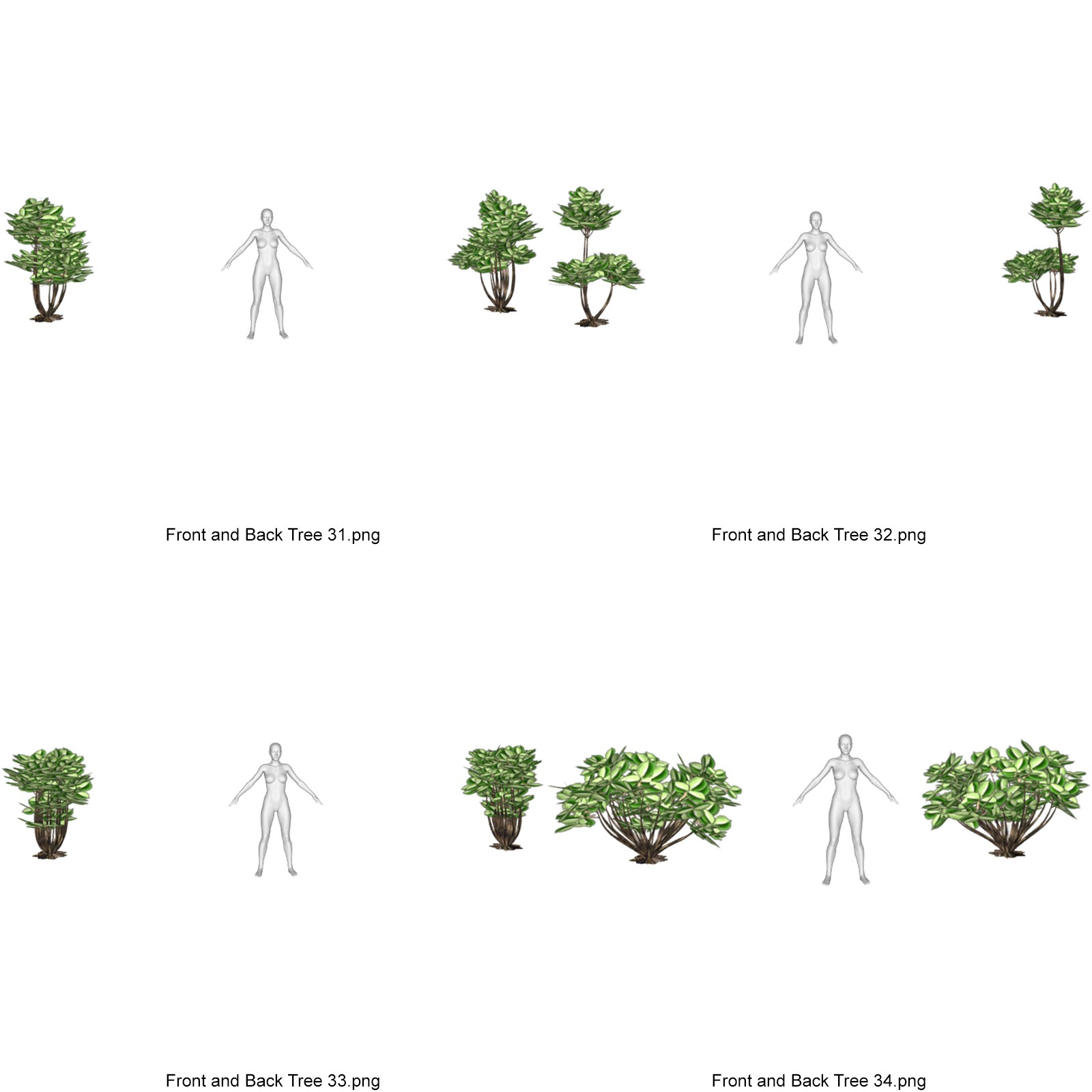 Toon Trees for DAZ by N/A