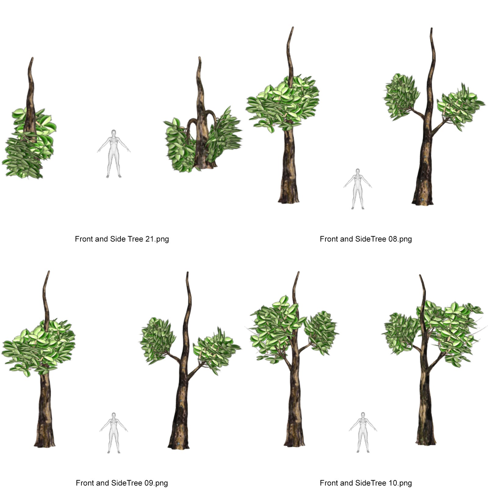 Toon Trees for DAZ by N/A