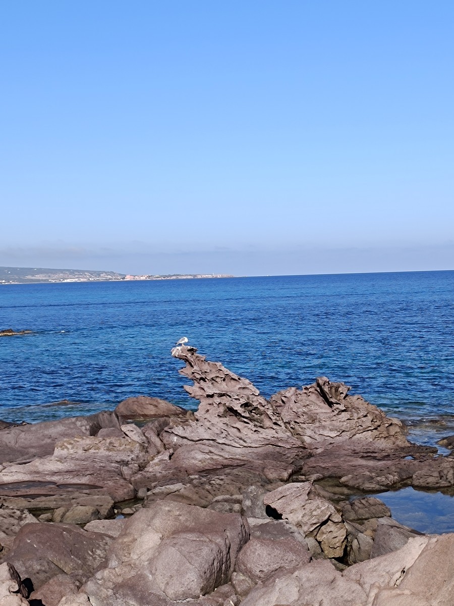Tour around the cliff by N/A