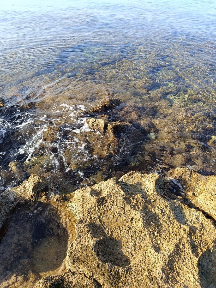 Walking on the rocks by N/A