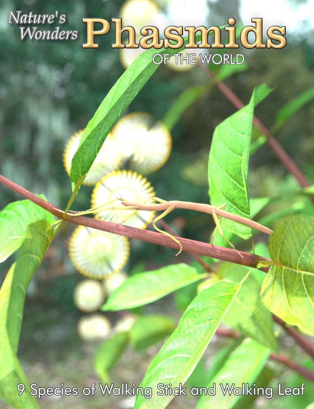 Nature's Wonders Phasmids by N/A