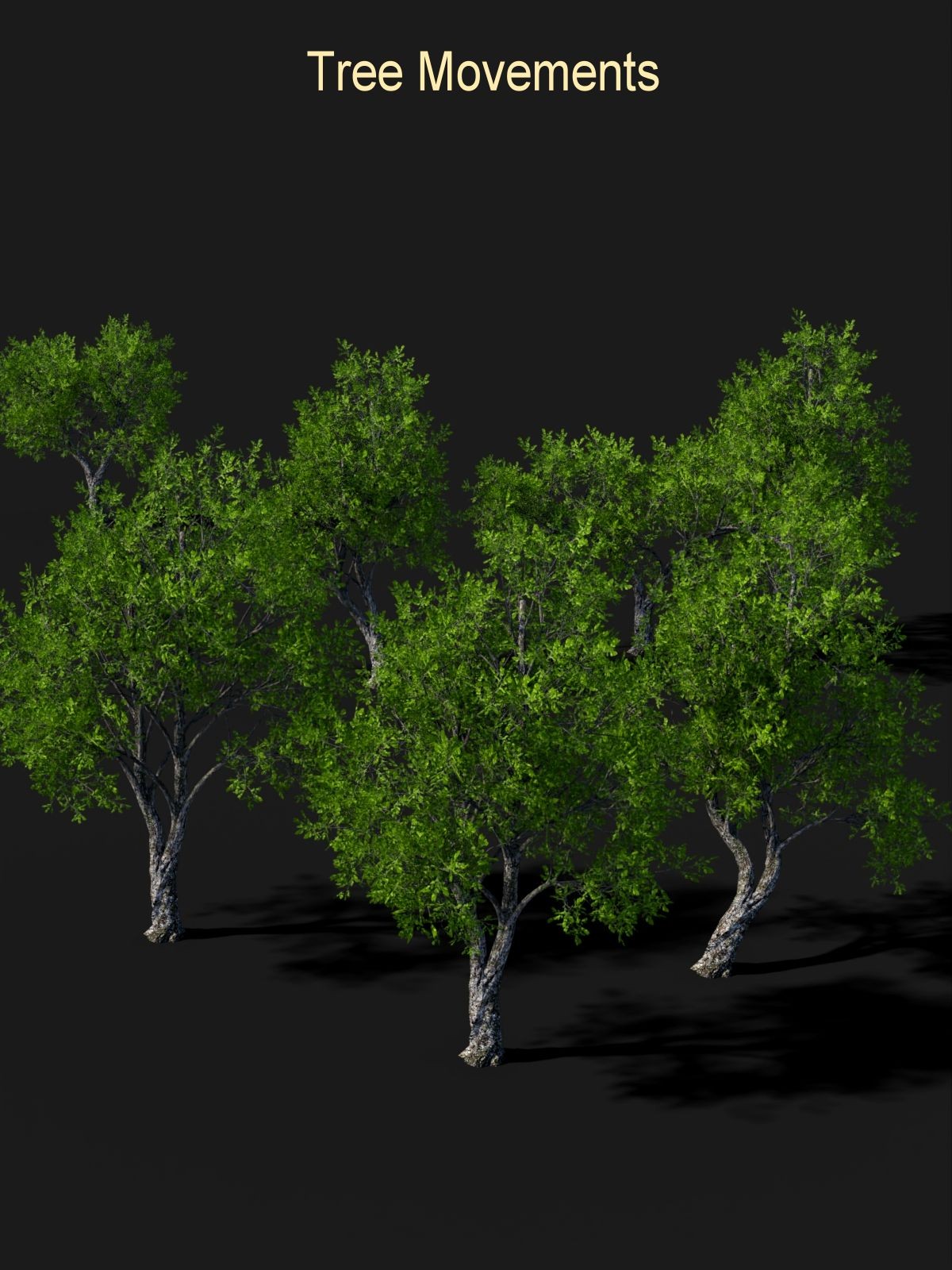 Tree Movements by N/A