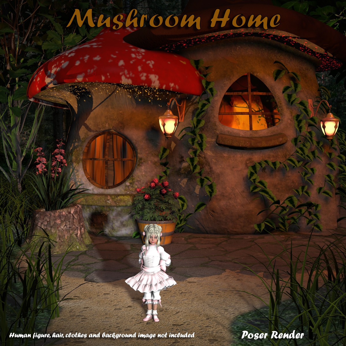 AJ Mushroom Home by N/A